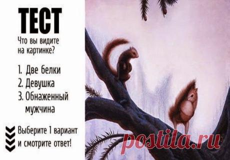 Всё самое интересное!: теста «Белка» Быстрый психологический тест. Точность 95%