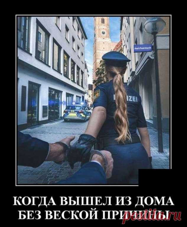 Демотиваторы — очень смешные и местами даже позитивные . Тут забавно !!!