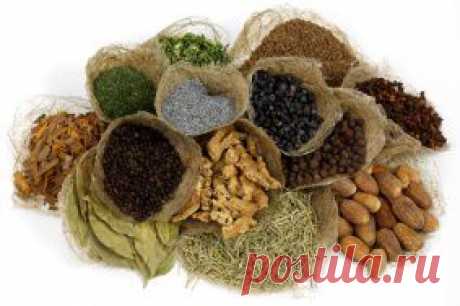 Пряные травы в кулинарии
