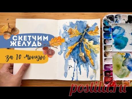 Рисуем ЖЕЛУДИ за 10 минут| Акварельный скетчинг | Осенний Инктобер
