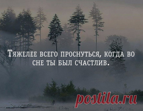 Тяжелее всего проснуться, когда во сне ты был счастлив | Мир позитивных новостей