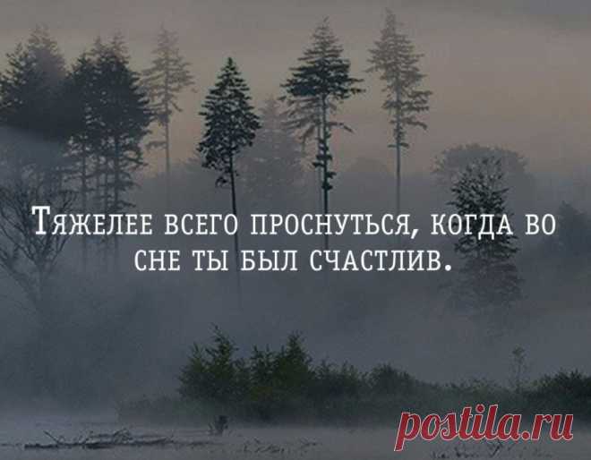 Тяжелее всего проснуться, когда во сне ты был счастлив | Мир позитивных новостей