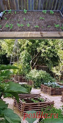 Что такое школка для растений и как ее сделать | Дача - впрок