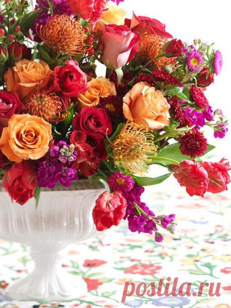 флористика