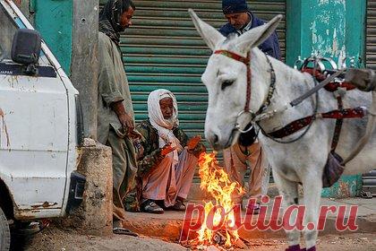 Во всем Пакистане пропал свет из-за аварии. Во всем Пакистане произошло отключение электроэнергии из-за скачка напряжения в национальной сети. Инцидент произошел 23 января в 7:34 по местному времени. В Минэнергетики страны отметили, что электроснабжение было восстановлено на нескольких сетевых станциях Исламабадской и Пешаварской электроснабжающей компании.