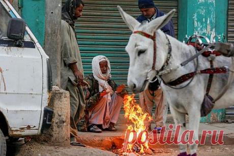 Во всем Пакистане пропал свет из-за аварии. Во всем Пакистане произошло отключение электроэнергии из-за скачка напряжения в национальной сети. Инцидент произошел 23 января в 7:34 по местному времени. В Минэнергетики страны отметили, что электроснабжение было восстановлено на нескольких сетевых станциях Исламабадской и Пешаварской электроснабжающей компании.