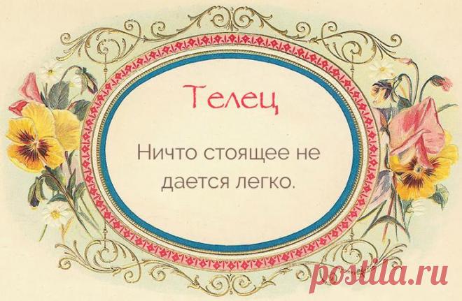 Жизненное кредо разных знаков зодиака