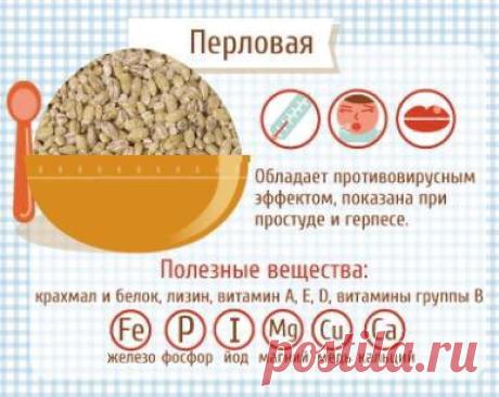Сама себе хозяйка