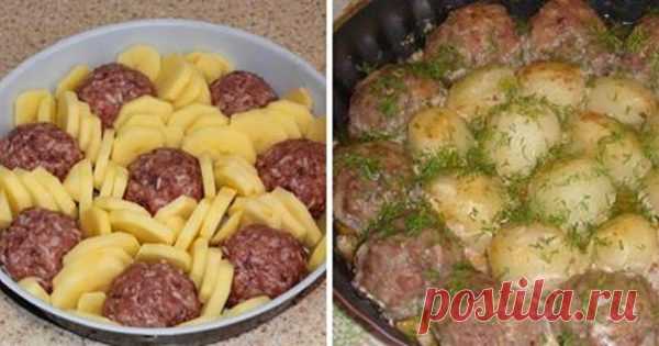 Мудрые советы