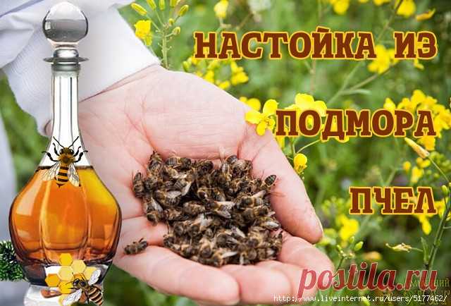 Настойка из подмора пчел.