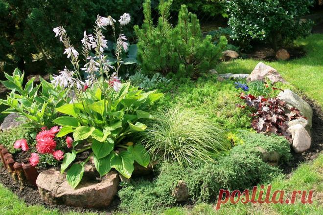 Как сделать рокарий своими руками: что это такое, пошаговая инструкция и схемы посадки своими руками на даче
Рокарий – одно из направлений ландшафтного дизайна, основным элементом которого являются не...
Читай пост далее на сайте. Жми ⏫ссылку выше