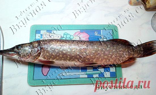 Щука жареная - рецепты вкусные из щуки