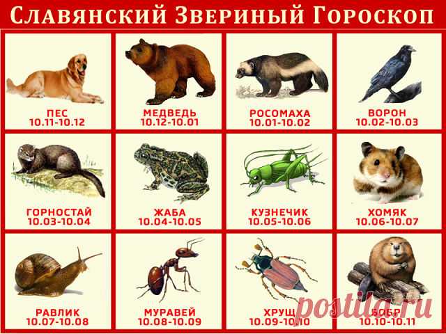 (45) Одноклассники