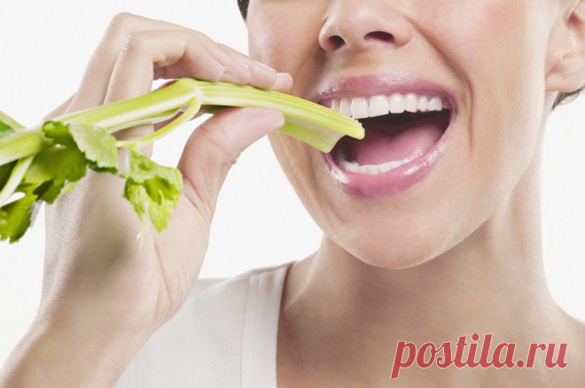 О пользе сельдерея | ПолонСил.ру - социальная сеть здоровья