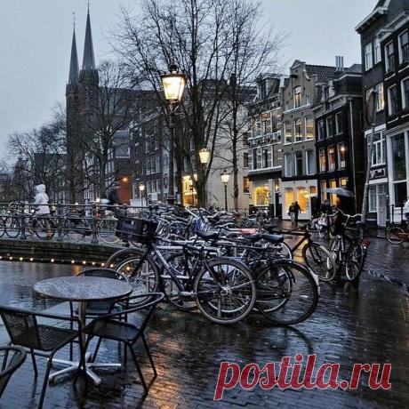 Амстердам / Удивительное искусство