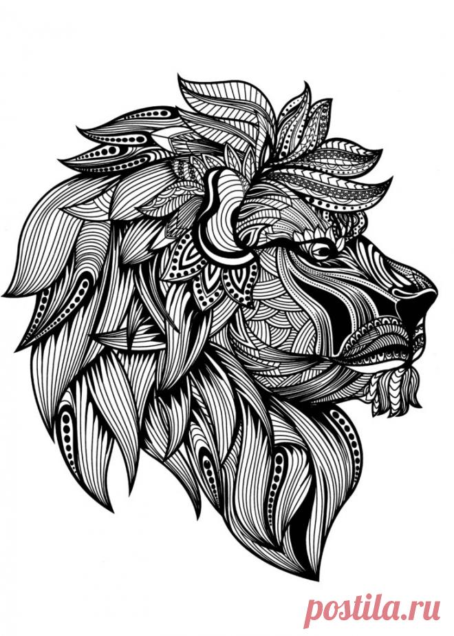 Раскраска антистресс лев - My Antistress раскраски для всех