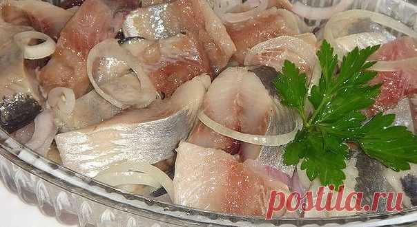 ШЕСТЬ МАРИНАДОВ ДЛЯ СЕЛЕДКИ. 🍴 | Кулинарные рецепты