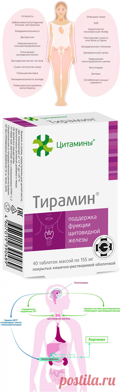 СТРЕСС и заболевания щитовидной железы: механизмы, последствия и эффективная профилактика