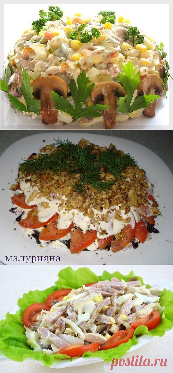 10 Рецептов потрясающих мясных салатов!) | Банк кулинарных рецептов