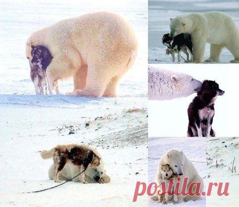 (38) Одноклассники