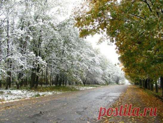 Последний штрих осени.