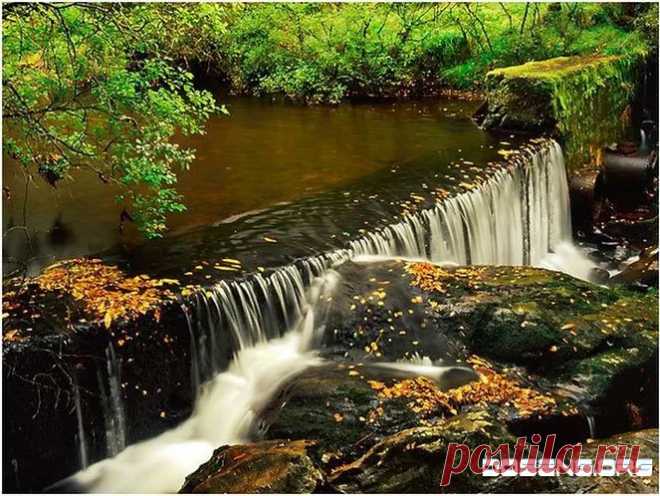 Шотландия - Google+