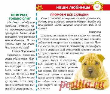 Как мыть шарпея. Котенок не играет, а спит