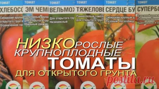 Шесть УРОЖАЙНЫХ КРУПНОПЛОДНЫХ НИЗКОРОСЛЫХ ТОМАТОВ для отрытого грунта! Советы от ЗЕЛЕНОГО ОГОРОДА!