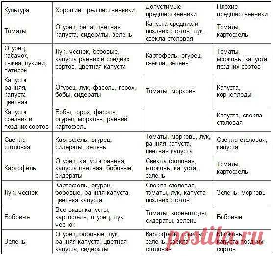 Таблица чередования посевов овощей в огороде

Из севооборота овощей можно извлечь выгоду. Это и защита растений от вредителей и болезней, и сохранение плодородия почвы. Но недостаточно просто менять овощи местами от сезона к сезону, нужно учитывать, какие предшественники наиболее полезны для каждой овощной культуры.

При севообороте соблюдаем правило: не сеять одну и ту же культуру второй год на старое место. Это относится и к представителям одного и того же семейства куль...