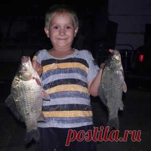 Прикормка для карася с хлебом и семечками - МирТесен