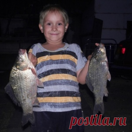 Прикормка для карася с хлебом и семечками - МирТесен