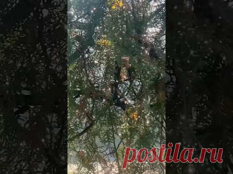 Проходя мимо- не проходите не обратив внимание!