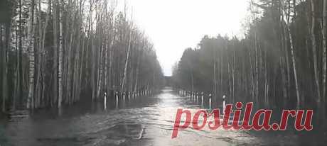 Диалоги