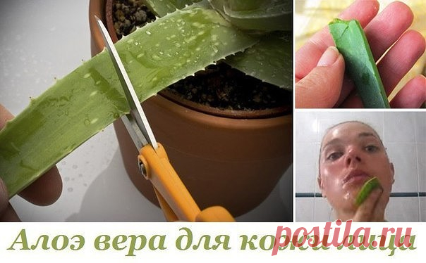 Одноклассники