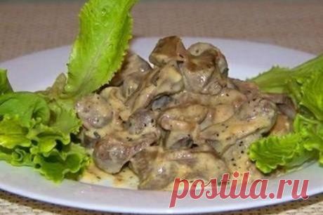 Куриная печень в сметане (рецепт на скорую руку)
Недолгая термообработка сохранит все полезные свойства и не даст печени превратиться в жесткое и неаппетитное блюдо. Сметанный соус сделает субпродукт еще более нежным.
Ингредиенты:
Показать полностью…