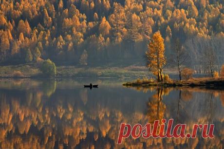 Google+