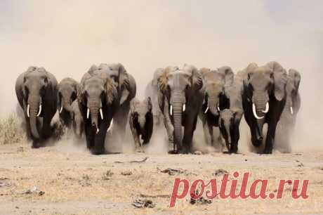 Йуухуу! Победители AdMe Photo Awards 2013