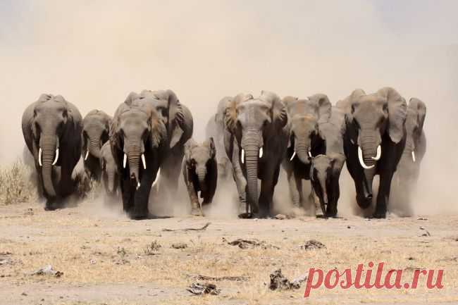 Йуухуу! Победители AdMe Photo Awards 2013