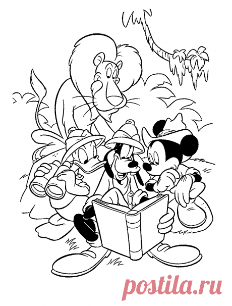 Disney coloring pages

disney coloring pages printable
disney coloring pages for adults
disney coloring pages pdf
disney coloring pages online
disney coloring pages halloween
disney coloring pages frozen
disney coloring pages for adults pdf
disney coloring pages princess
disney coloring pages ariel
disney coloring pages adults
disney coloring pages app
disney coloring pages alphabet
disney coloring pages aladdin
disney coloring pages animals