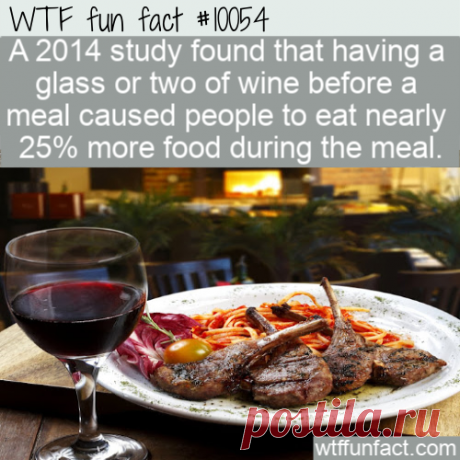 WTF Fun Fact – Eat More With Wine &amp;#8211; Top Best Celebrity Blogs