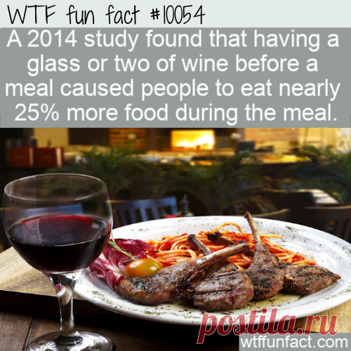 WTF Fun Fact – Eat More With Wine &#8211; Top Best Celebrity Blogs