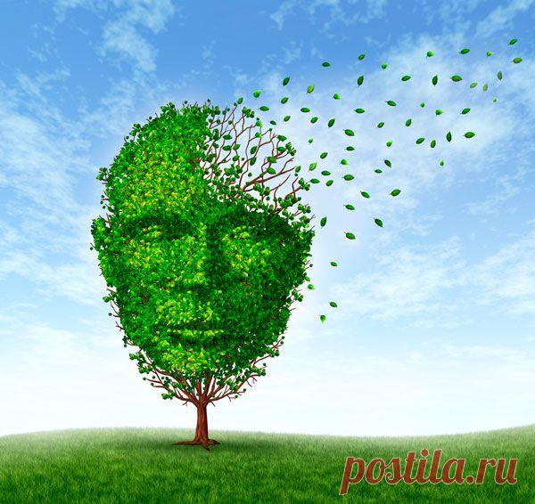 Деменция - причины, виды, симптомы и лечение