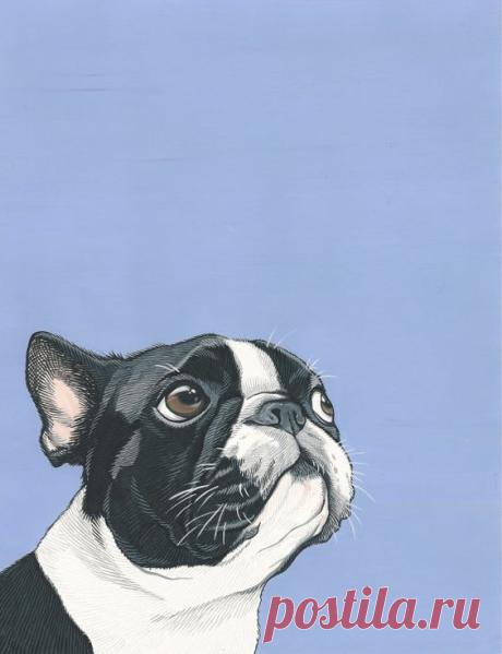 Small Custom Pet Portrait by ArtbyManda on Etsy, $60.00 | For the love of Art