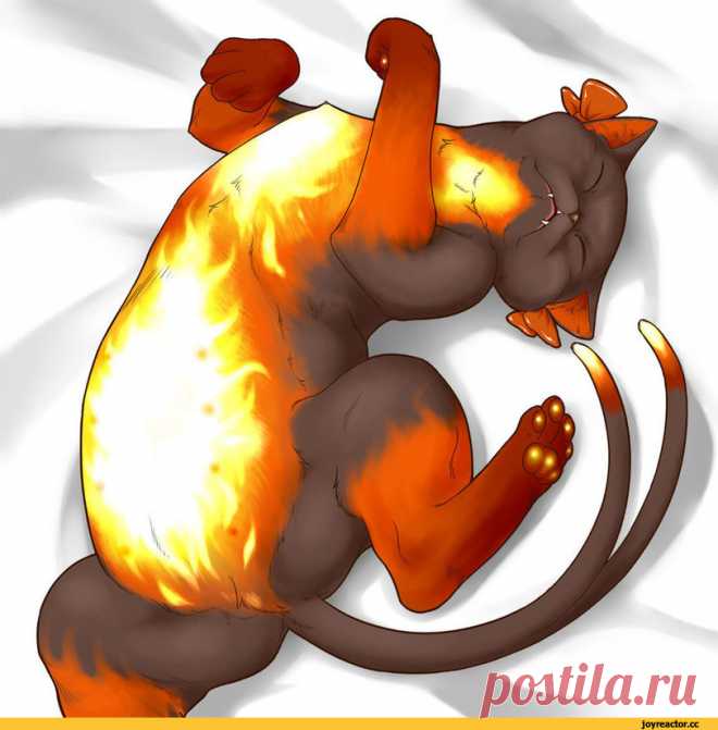 красивые картинки :: кот / картинки, гифки, прикольные комиксы, интересные статьи по теме.