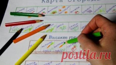 Как составить карту огорода 

Перед тем как высаживать растения в открытый грунт, нужно составить план посадок. Это поможет избежать многих ошибок, к тому же заранее продуманный огород будет выглядеть куда гармоничнее, чем высаж…