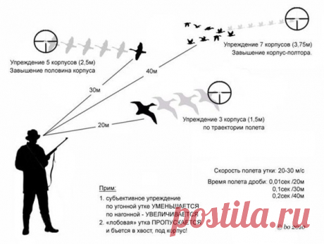 ОХОТНИКАМ НА ЗАМЕТКУ: СОВЕТЫ ДЛЯ ТОЧНОЙ СТРЕЛЬБЫ Безусловно, с наступлением осени у охотников начинаются бурные выходные. Ведь это только с виду может показаться, что на каждом озере находится туча уток. И мнение, что по ним даже целиться не нужно ошибочно. В случае, вдруг вы думаете, что достаточно просто выставить ствол ружья в их сторону и нажать спусковой крачек – то можете быть уверенны, вы попадете никуда. Стоит помнить, что после первых же выстрелов на озерах утки становятся пугливыми и…