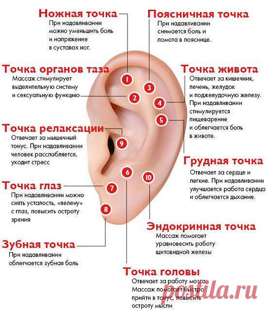 (31) Одноклассники