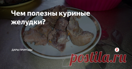 Чем полезны куриные желудки? Не каждый человек по достоинству оценит блюда из субпродуктов. Есть, конечно, такие потребители, кому очень даже по душе печень, почки, легкие, желудки, вымя и другие внутренности и части, животных и птиц. Возможно, кого-то не прельщают их вкусовые качества и сложная технология приготовления. Наиболее приятными на вкус и колоритными можно признать куриные желудки. Их специфич