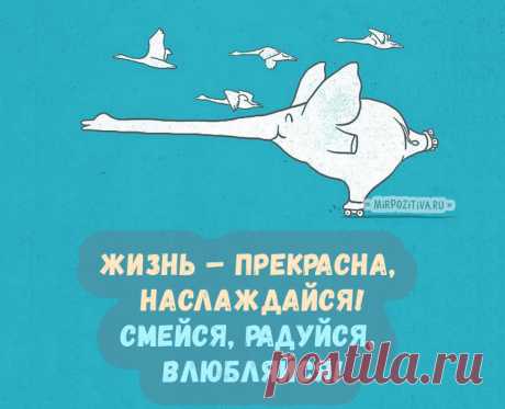 Улыбнись: картинки с надписями