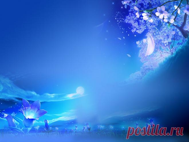 Плейкаст «ЦВЕТЫ ДЛЯ ТЕБЯ!»